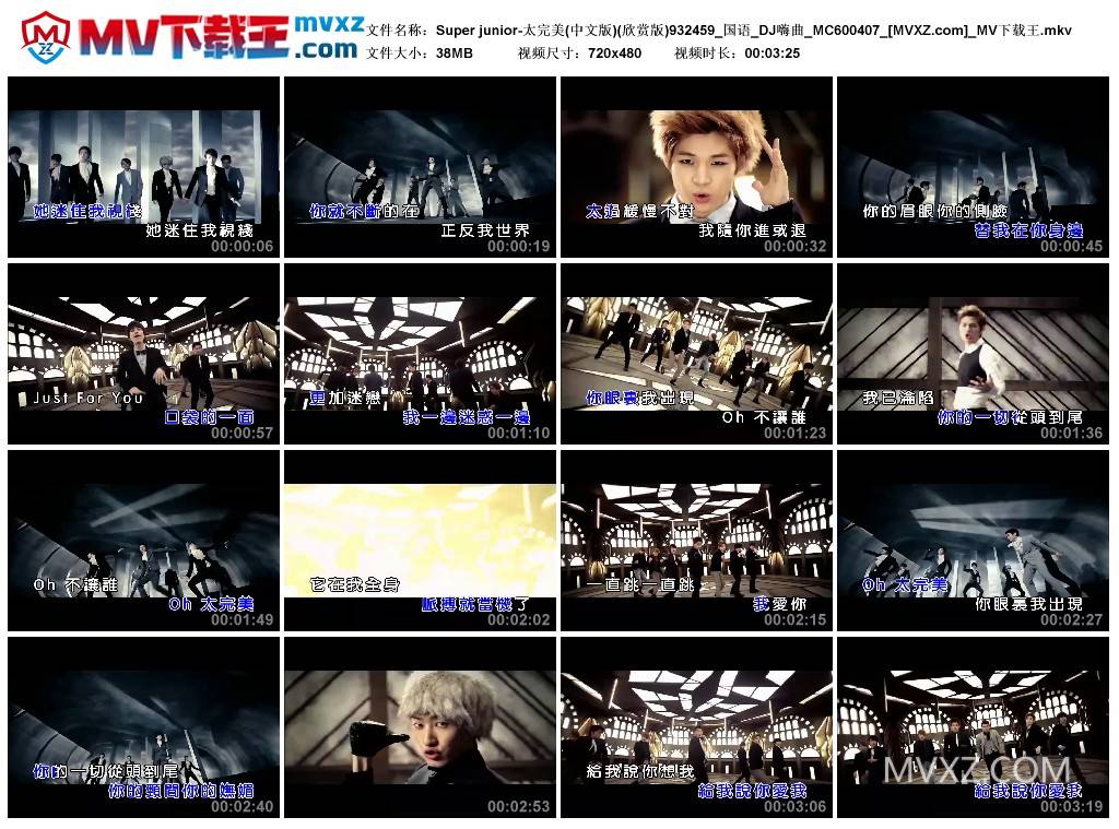 Super junior-太完美(中文版)(欣赏版)932459_国语_DJ嗨曲_MC600407